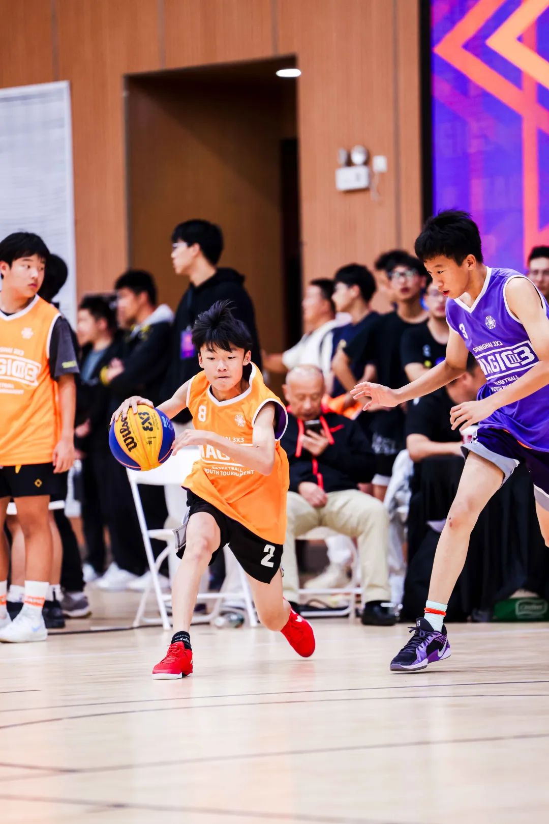 包含中国青少年篮球普及推广项目获得国家支持，逐步走向规模化的词条
