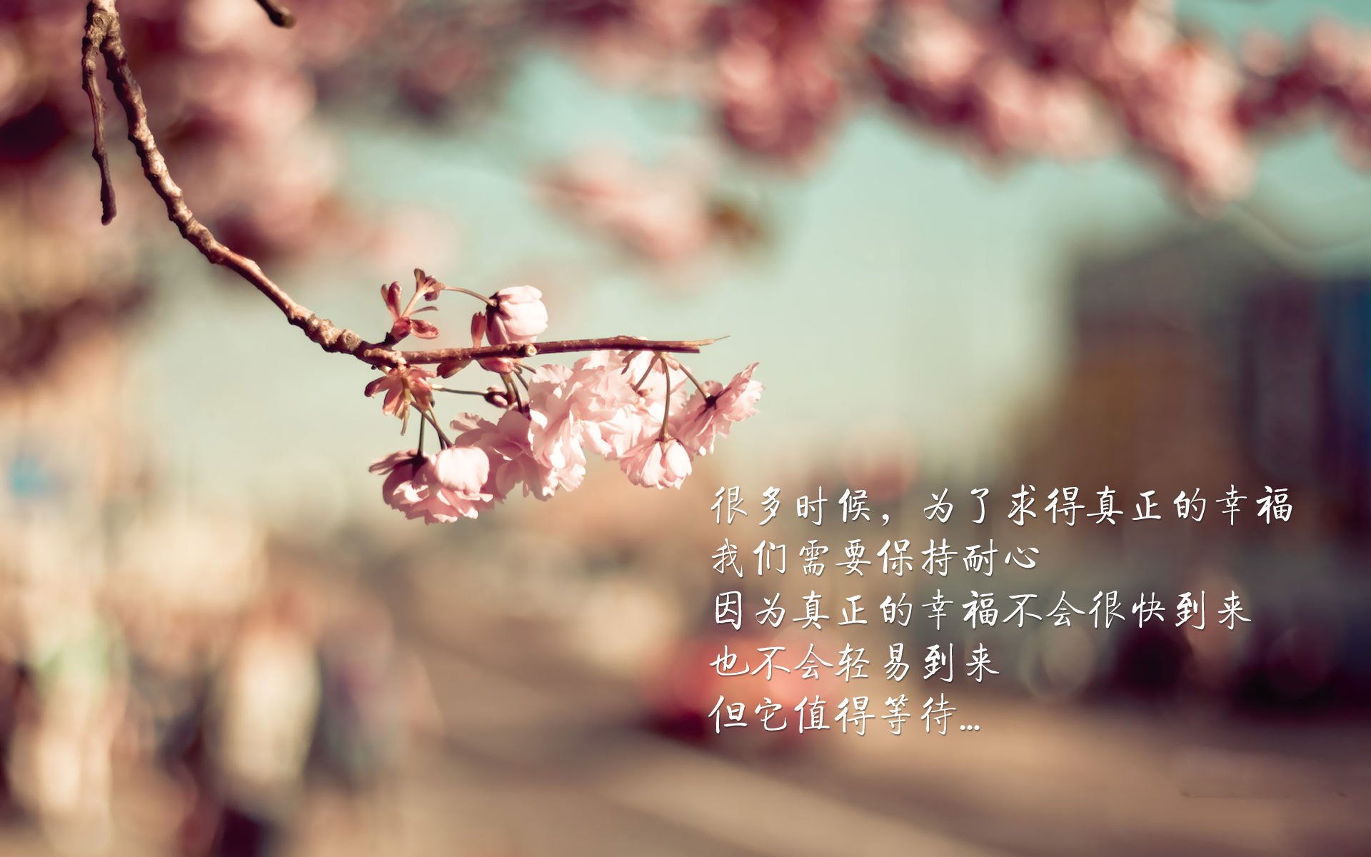 篮网三连败后宣布交易重启，杜兰特或将回归？，篮网彻查杜兰特