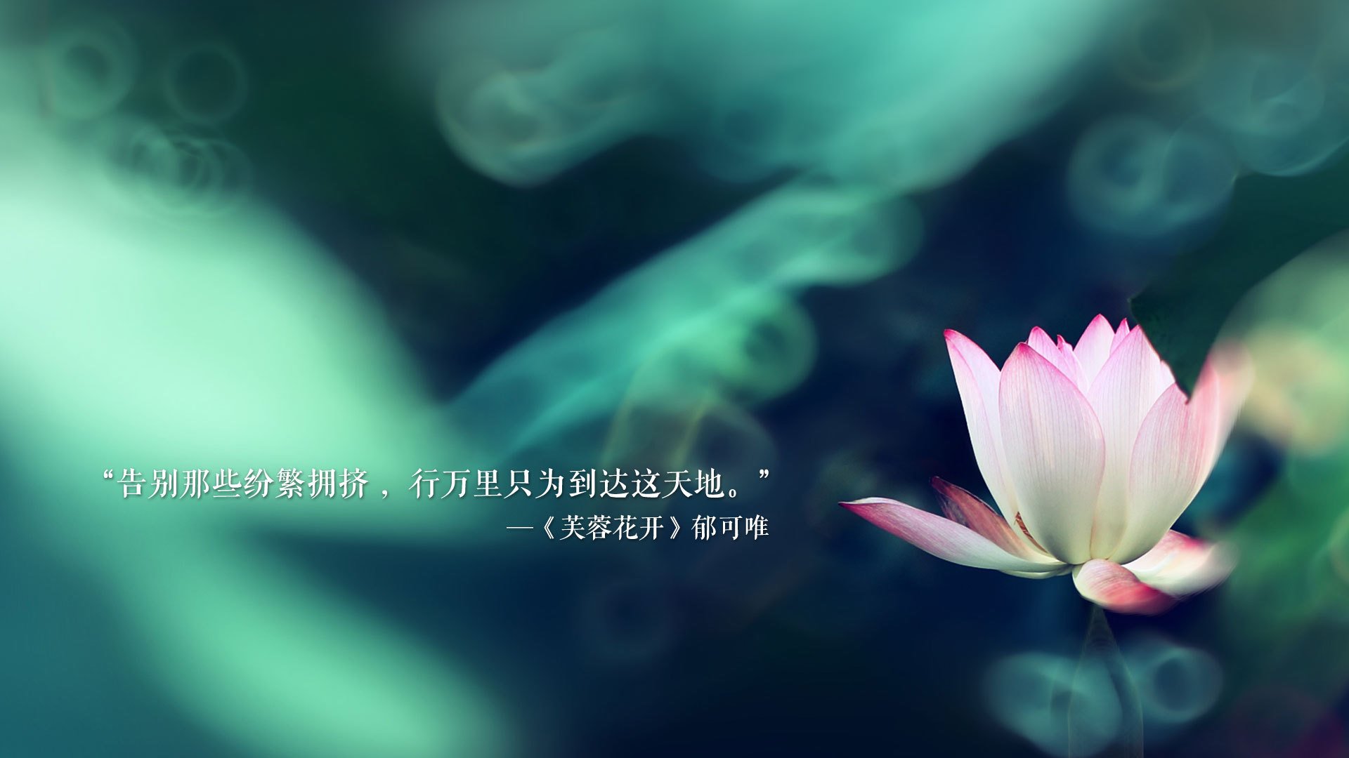 冬季两项世锦赛落幕 中国代表队取得突破，冬季两项世界锦标赛