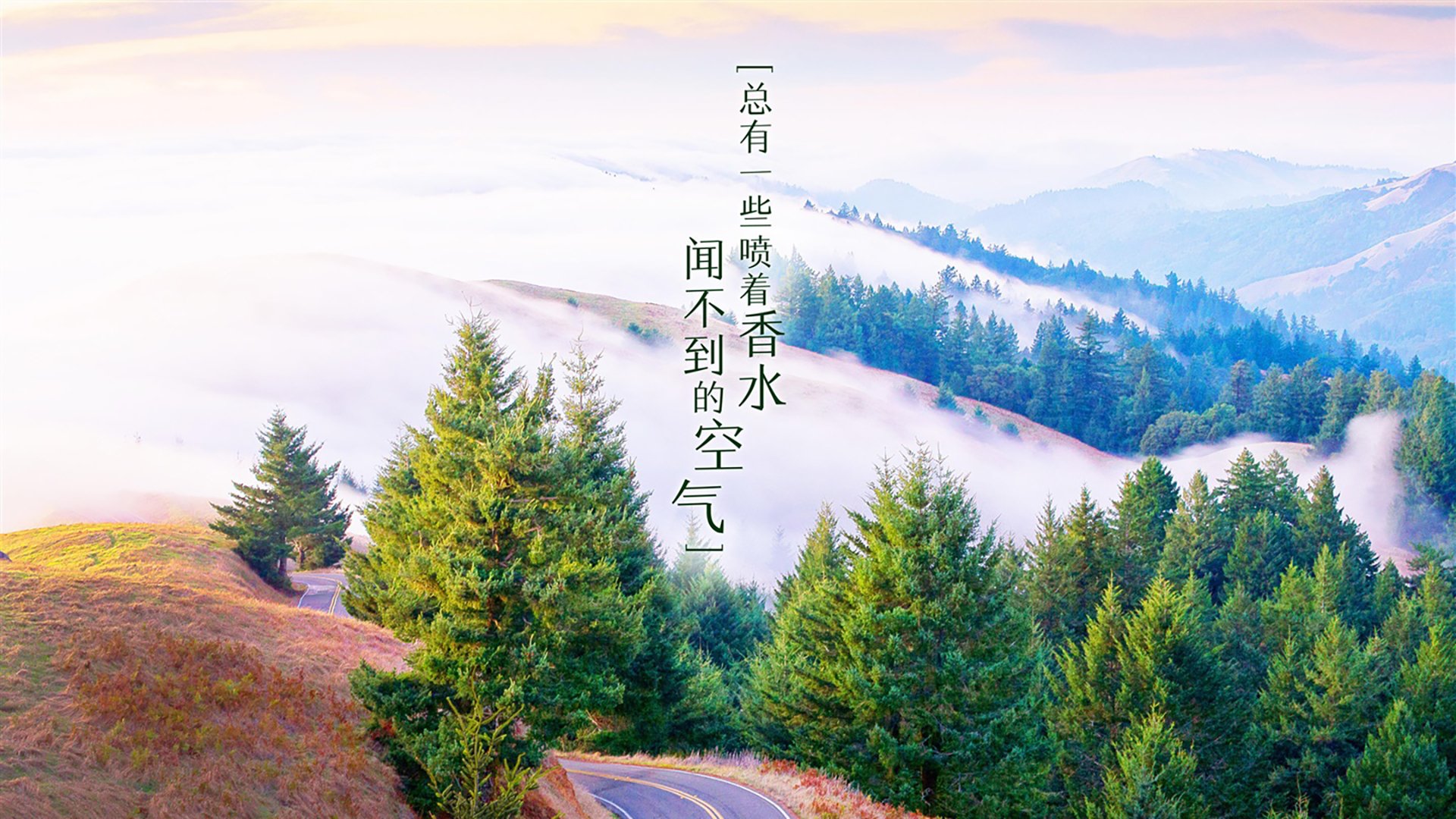 张雨霏赛事中展现顽强拼搏，张雨霏比赛过程