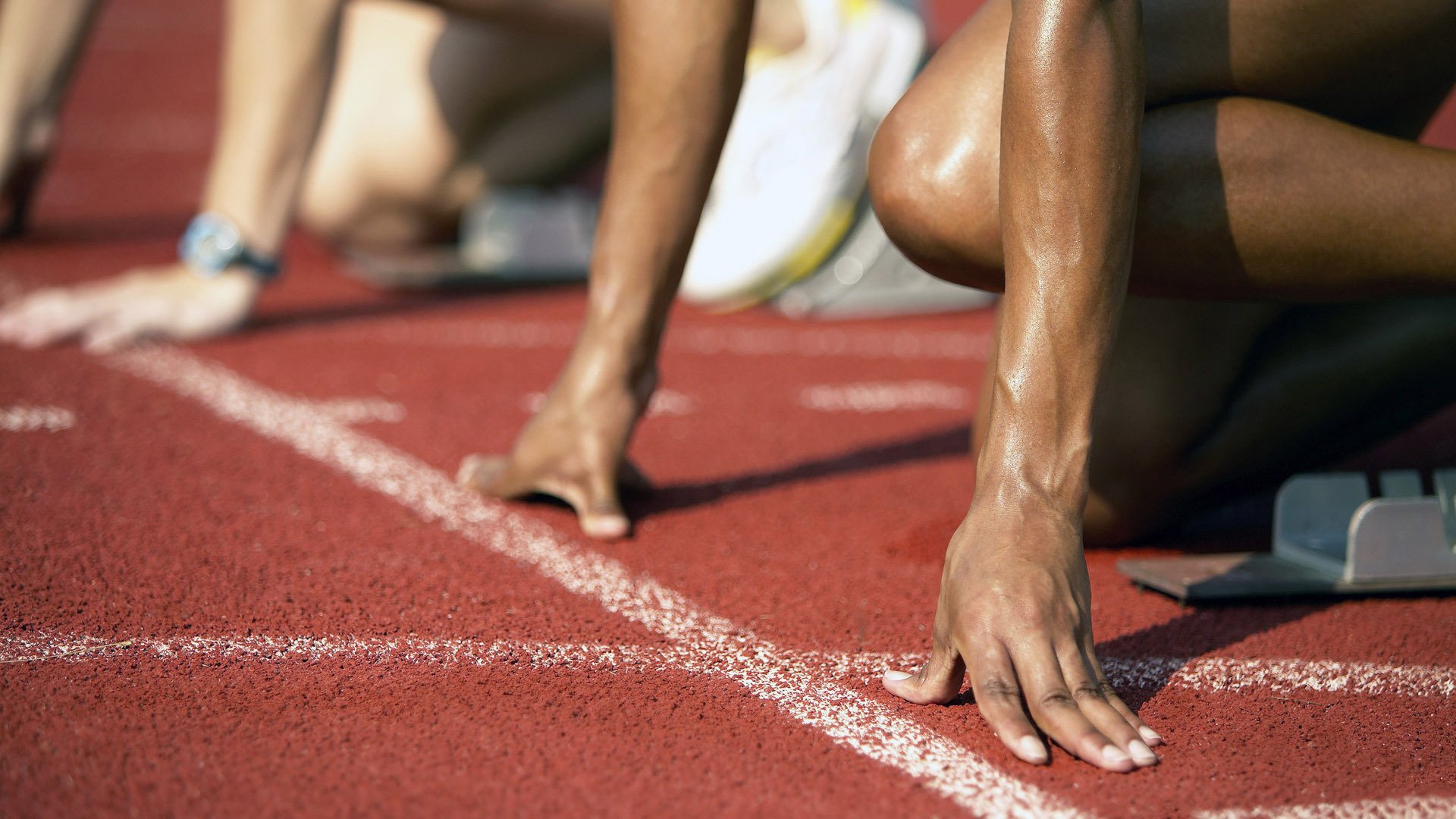 传统猎鹰飞行比赛，古老技艺焕发新光彩，猎鹰的飞行器